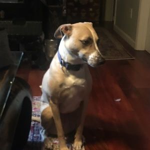 Meet your Posher, Phyllis